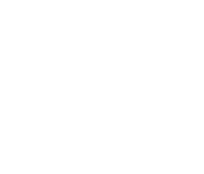 Los Reyes Adventures