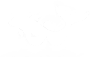 Wale Services logo